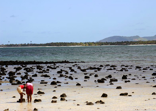 grand gaube mauritius